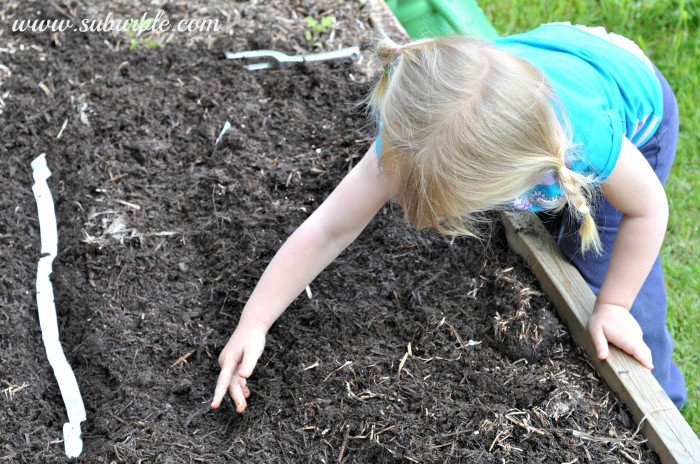 Gardening update - Suburble