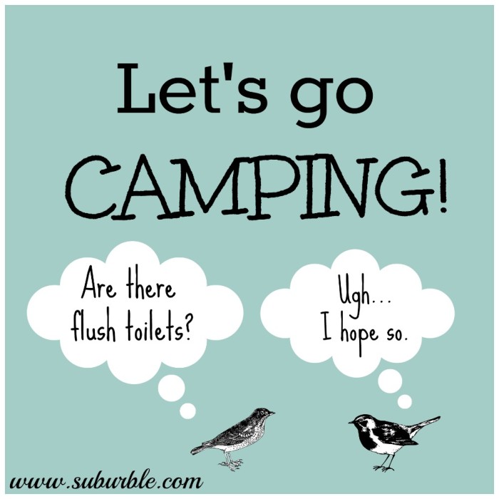 Let’s Go Camping: The Maiden Voyage of 2013