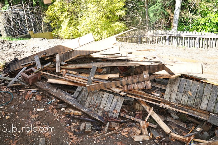 Evolution of a backyard 2 - Suburble