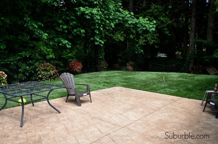 Evolution of a backyard 4 - Suburble