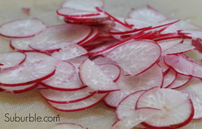Radish Chips 3 - Suburble