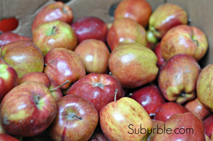 Applesauce 1 - Suburble