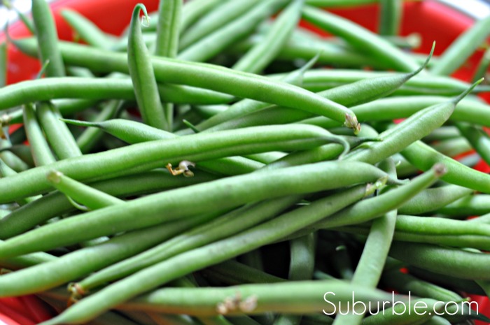 Pickled Green Beans - Suburble