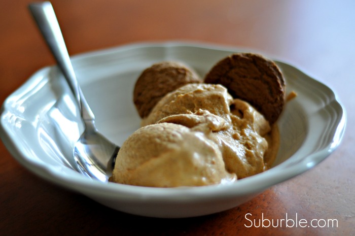 Pumpkin Pie Ice Cream 1 - Suburble