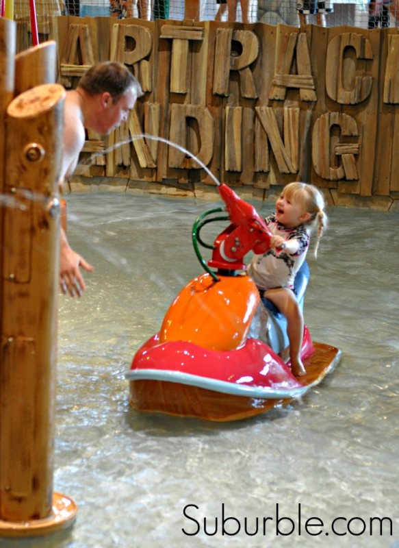 Great Wolf Lodge - Water Park 7 - Suburble