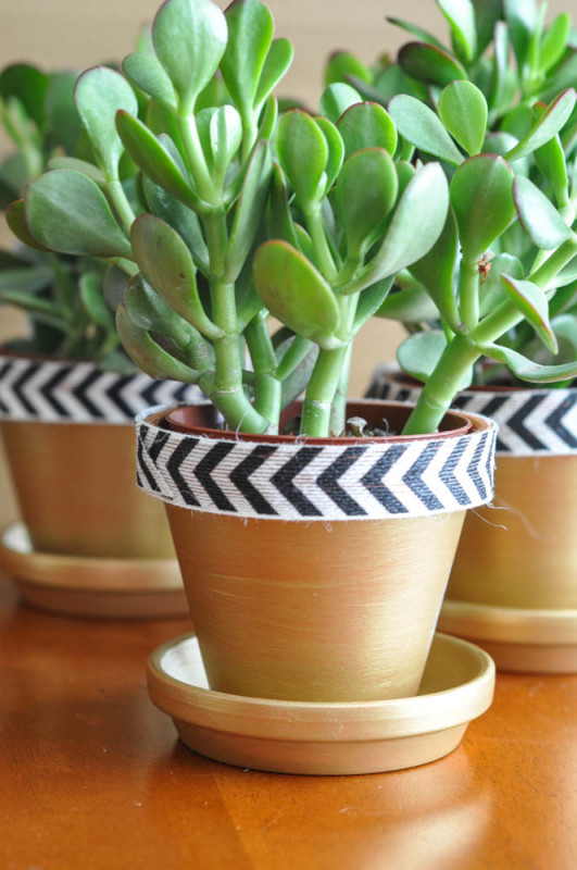 Gold and Chevron Terracotta pots  - Suburble.com (1 of 1)