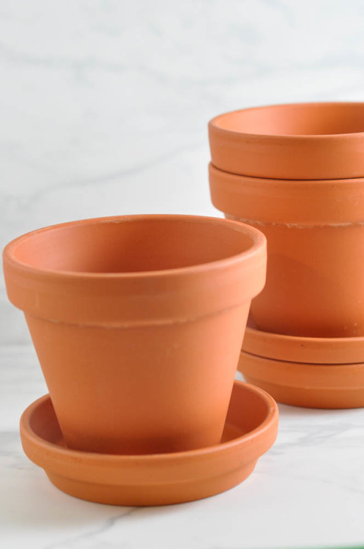 Terracotta pots  - Suburble.com (1 of 1)