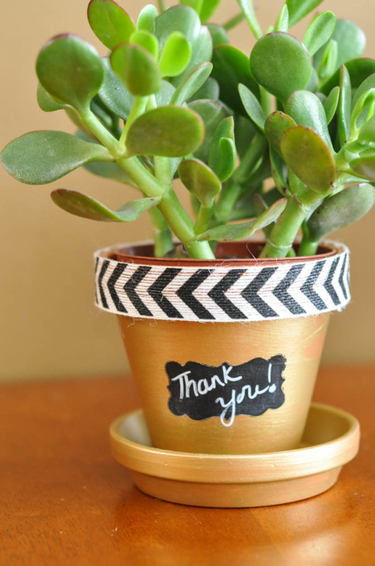 Thank you - Terracotta pot  - Suburble.com (1 of 1)