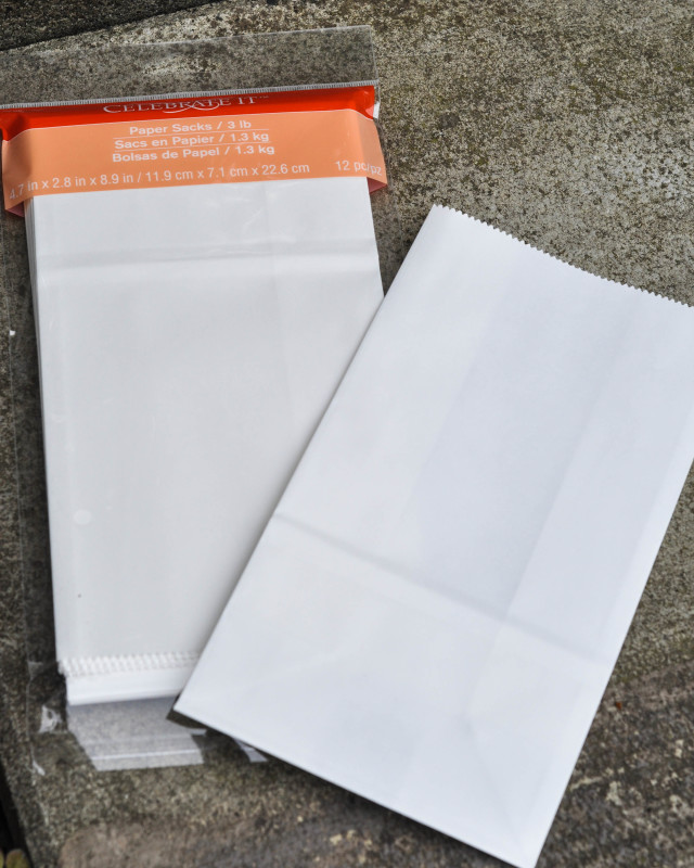 Luminary Paper Bags - Suburble.com (1 of 1)