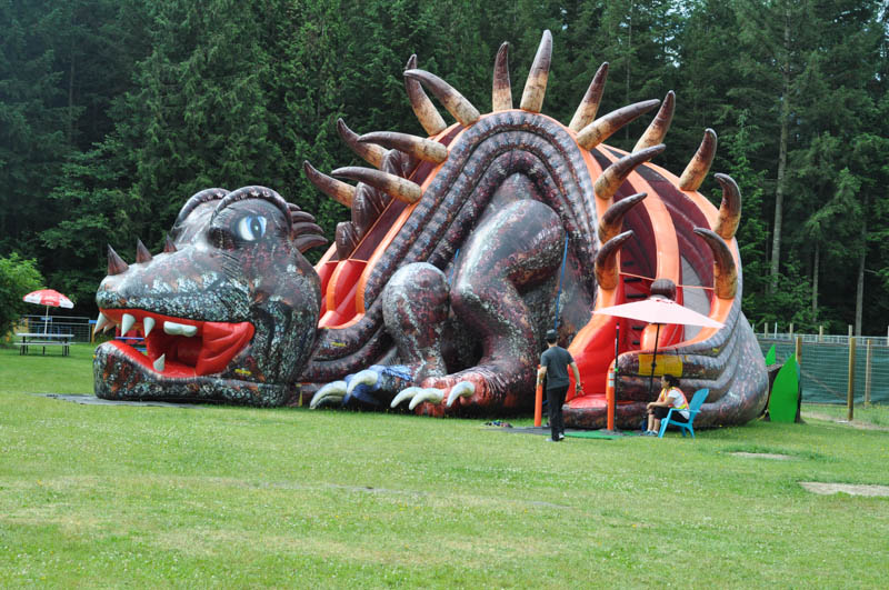 Dinosaurs and Playhouses Suburble