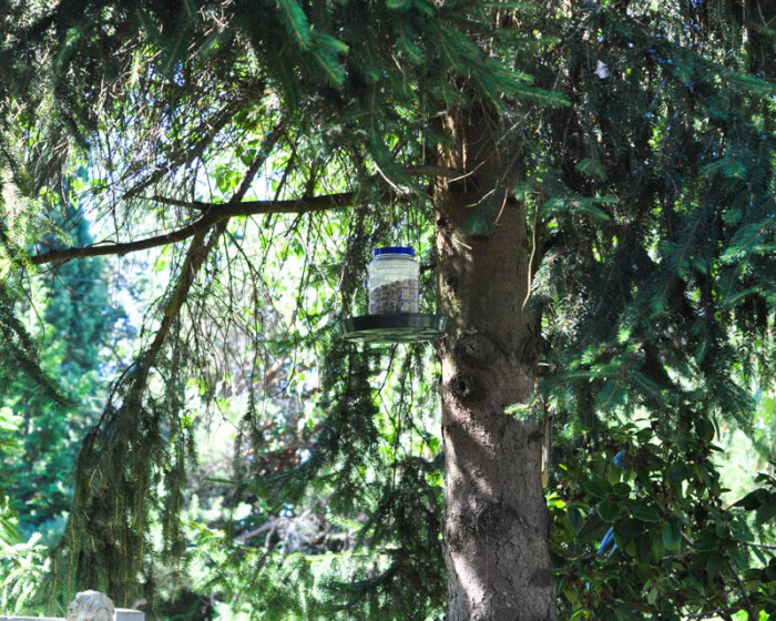 Upcycled Bird Feeder 7  -  Suburble.com-1