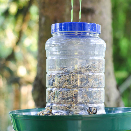 Upcycled Bird Feeder from a Peanut Butter Jar - Suburble.com (1 of 1)