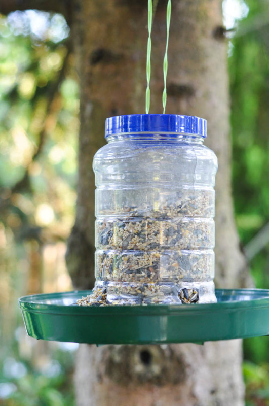 Upcycled Bird Feeder from a Peanut Butter Jar - Suburble.com (1 of 1)