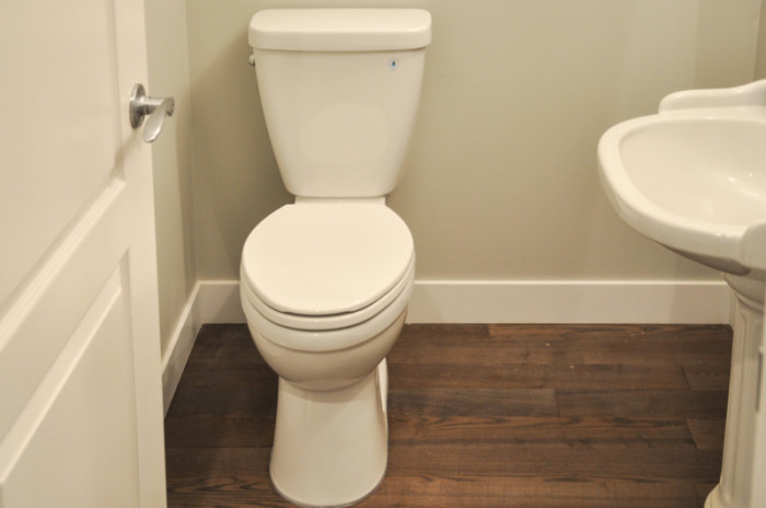 Delta Prelude Toilet- Suburble.com-1