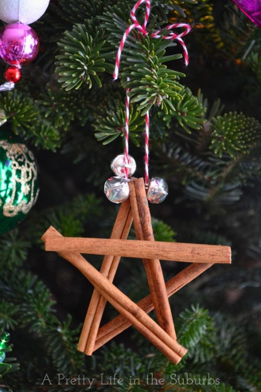 Cinnamon-Star-Ornament11 (1)