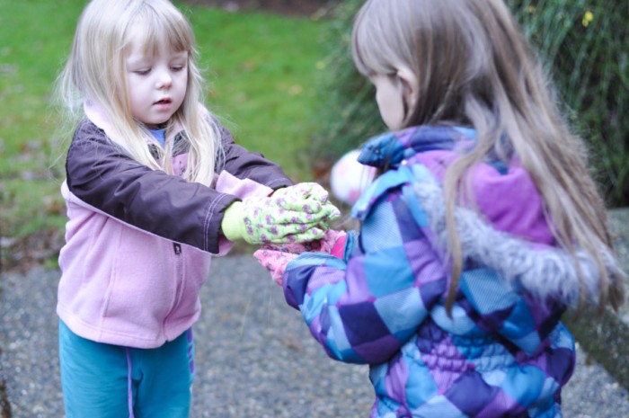 Learning to Feed the Birds-1