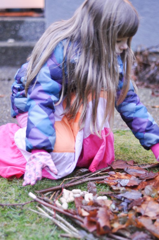 Learning to Feed the Birds-11