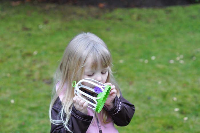 Learning to Feed the Birds-5