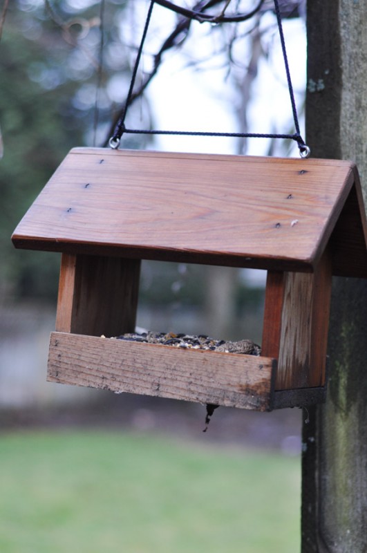 Learning to Feed the Birds-8