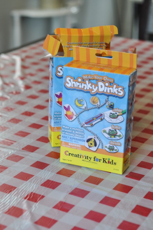 Camping Birthday Party-4
