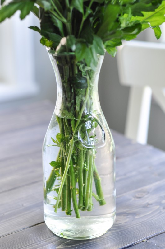 Milk Bottle Vases-4