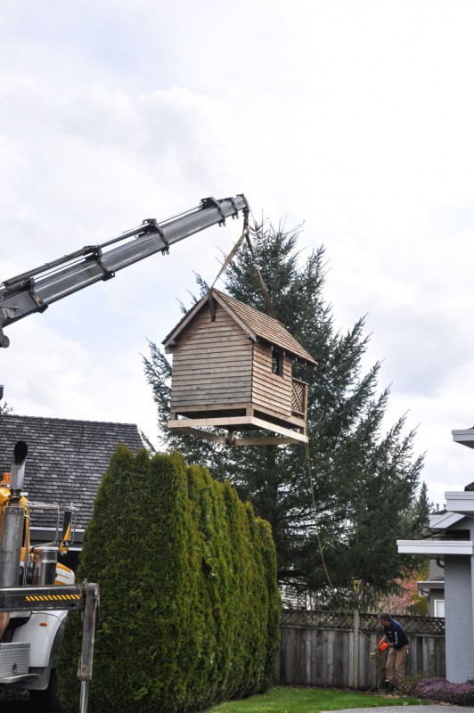 Playhouse Craned Over The House-4