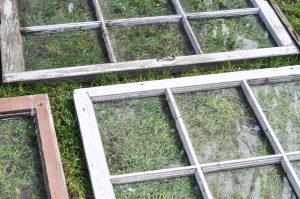 Framing the Greenhouse -7-2