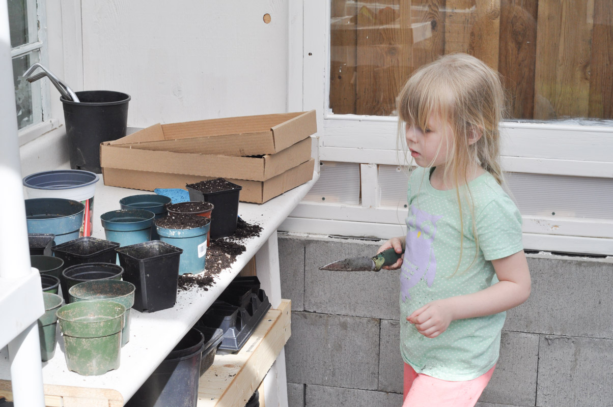 Finishing the Greenhouse-1-3