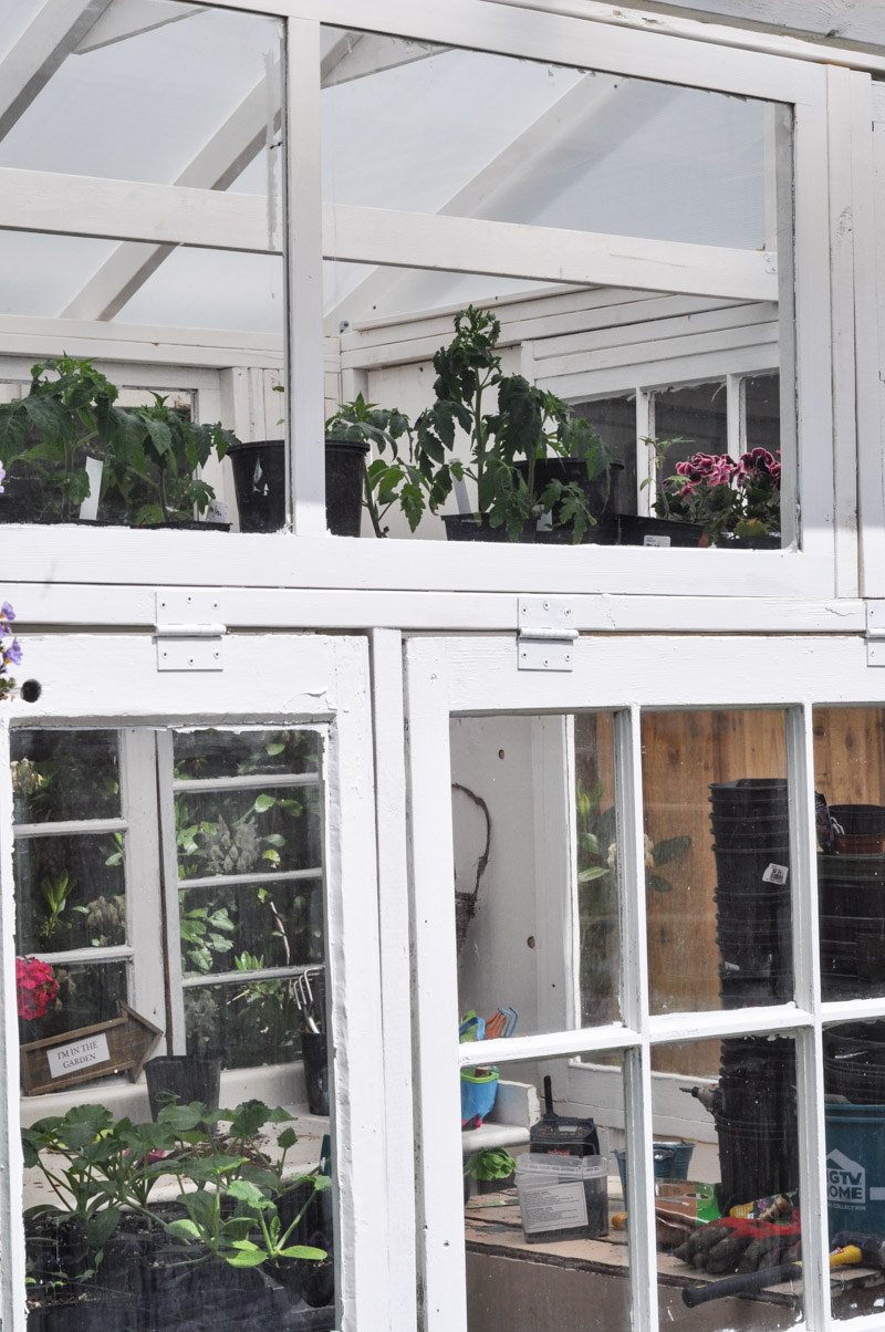 The Greenhouse Project- How To Build A Greenhouse From Vintage Windows-10