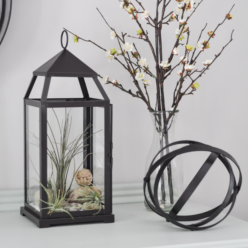 The Air Plant Terrarium