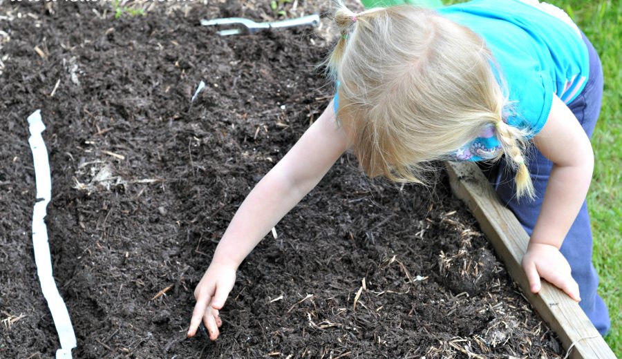 Our Garden: It’s really happening!