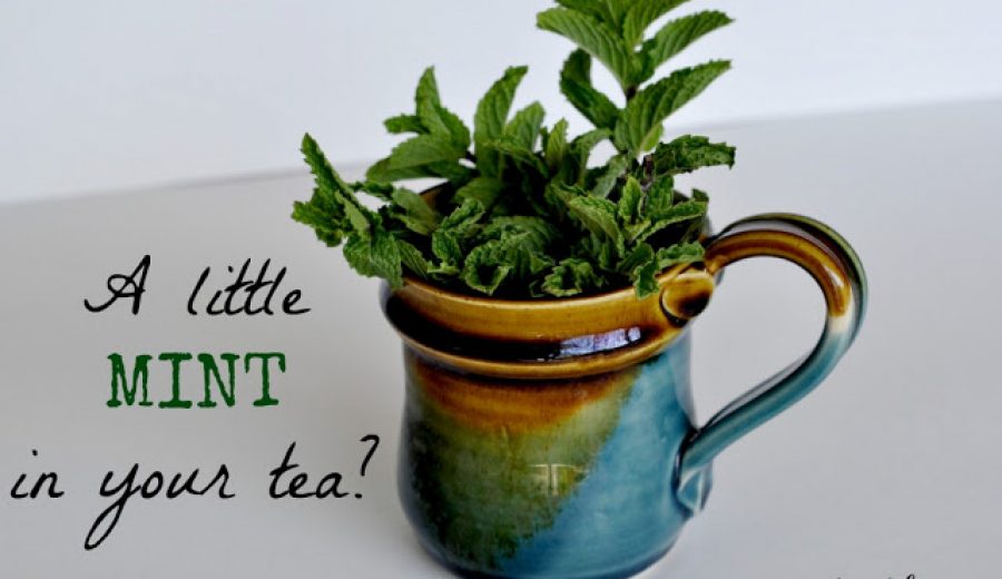 Spring in your Tea-Cup: Mint-infused Black Tea