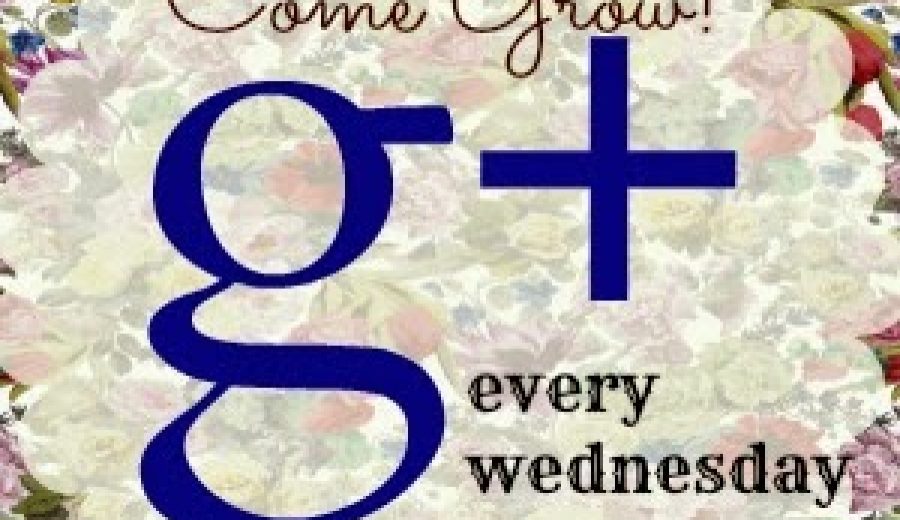 A Google+ Blog Hop!