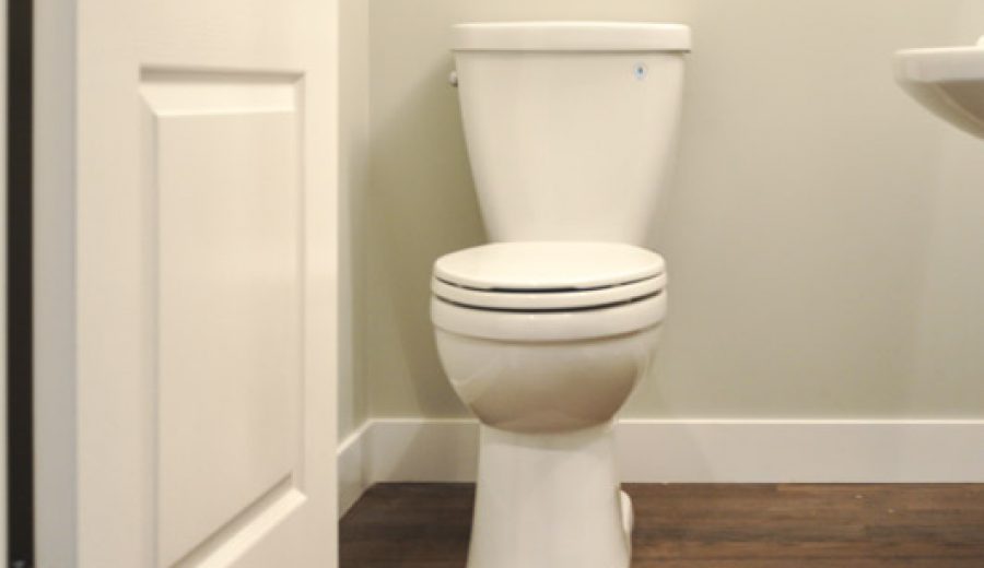 How to Shop For A Toilet (It’s more than good looks…)