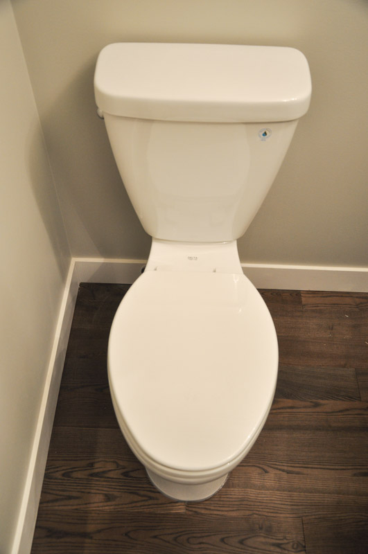 Delta Toilet with Elongated bowl Suburble
