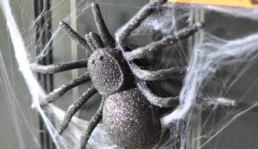 A Spooky Spiderweb Door (using magnets!)