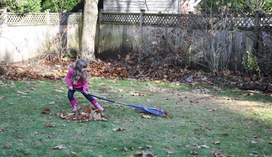 Putting the Backyard to Bed: Part 1