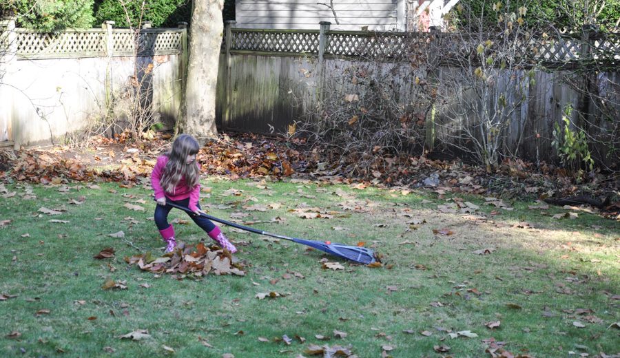 Putting the Backyard to Bed: Part 1