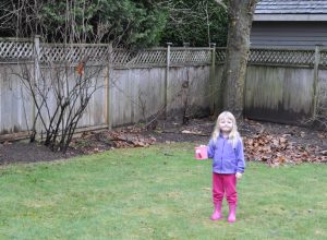 Putting the Backyard to Bed Part 2: Sad Grass and Planting Bulbs