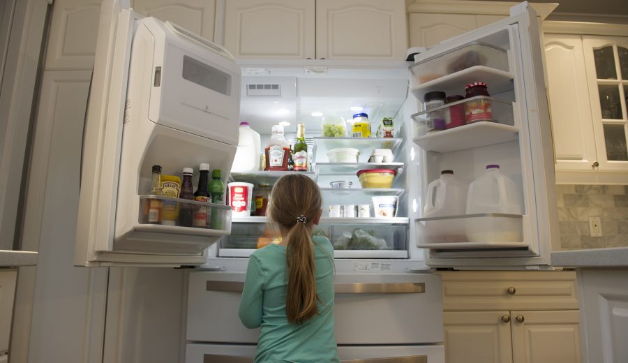 I’ve Got 99 Problems But a Fridge Ain’t One