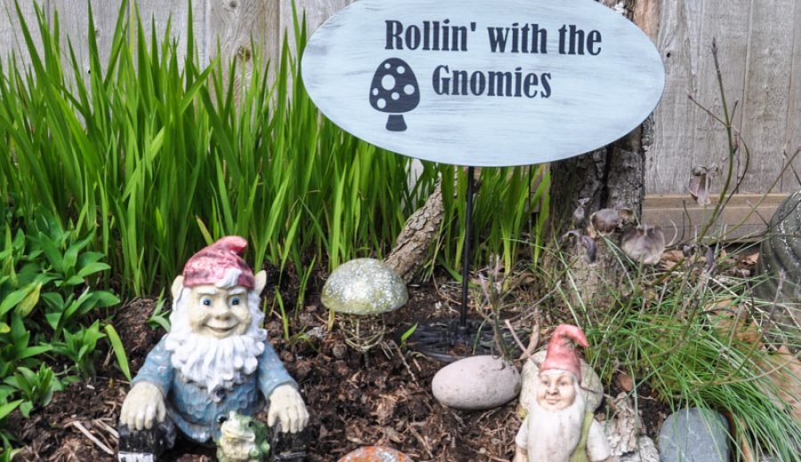 Rollin’ with the Gnomies – Thuglife in the Garden
