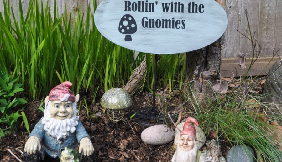 Rollin’ with my garden gnomies…