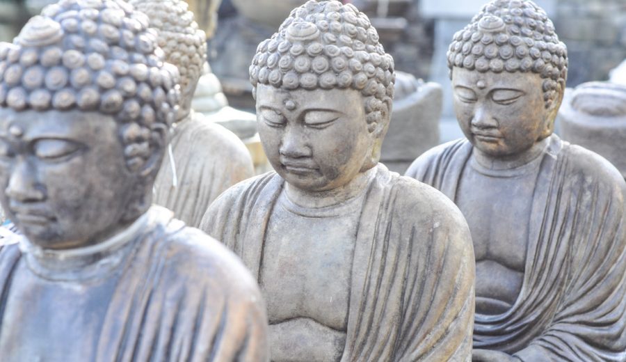 A Yard of Inspiration: Shopping at Northwest Landscape and Stone Supply