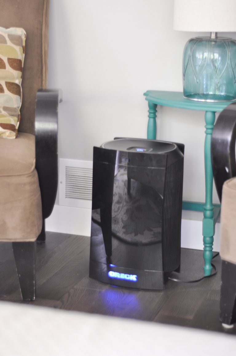 Oreck Dual Max Purifier12 Suburble