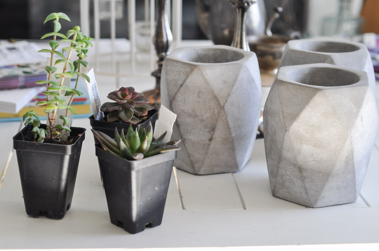 Gold Dipped Geometric Planters-1