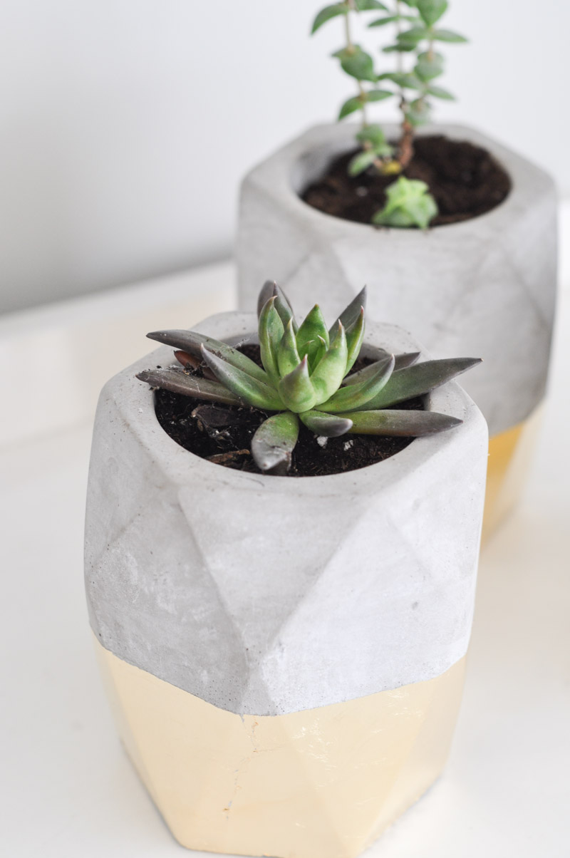 Gold Dipped Geometric Planters-10