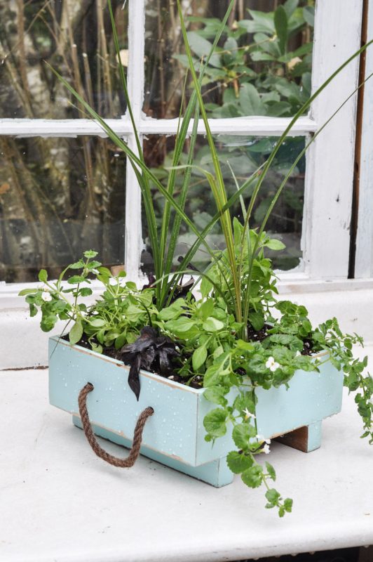 A Milk Crate Turned Planter: Getting Spring Started - Suburble