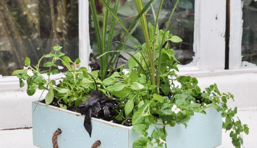 A Milk Crate Turned Planter: Getting Spring Started