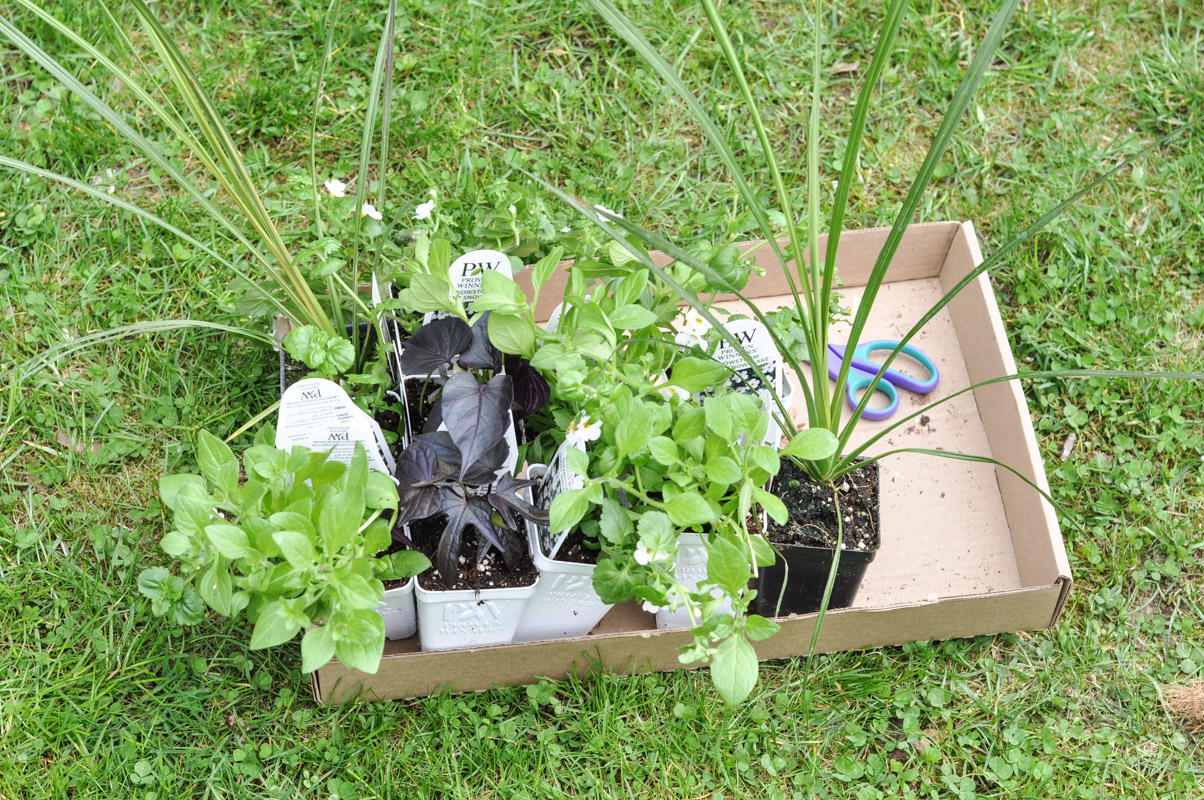 A Milk Crate Turned Planter Getting Spring Started Suburble